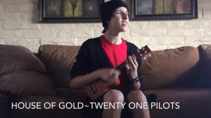 House of Gold Twenty One Pilots Cover