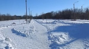 Памятник Ленина снесли в России