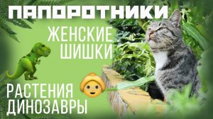 Им несколько миллионов лет - самые древние растения на Земле