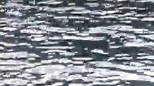 лодка гольфстрим 365 и плм гольфстрим 9.9-15 л с