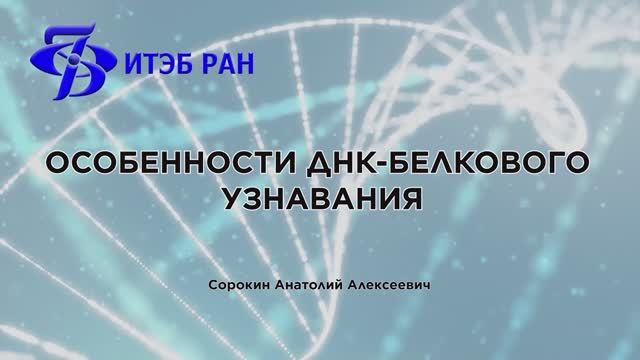 04 - Сорокин Анатолий Алексеевич.mp4