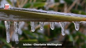 Snow in Exmouth - Top 15 pictures from iwitness24 members