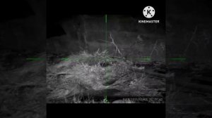 Отстрел крыс! PARD DS35LRF EDgun Leshiy 2.0 Леший 2