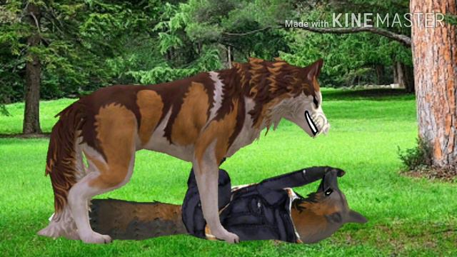 //на map Инди// •wildcraft• смотреть онлайн