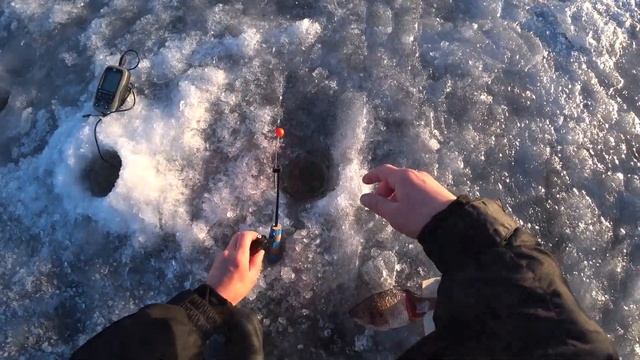 Корюшка в Кронколонии. Ловля корюшки на Финском заливе. смотреть онлайн