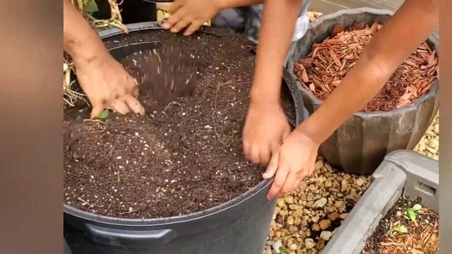 June harvest 2021! смотреть онлайн