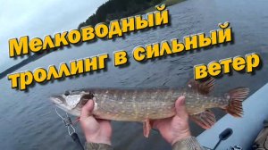 Щука Мелководный троллинг в сильный ветер Советы новичкам Сезон 2020