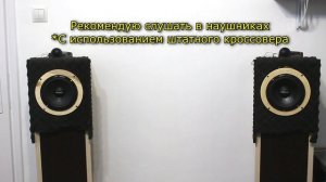 Обзор автомобильных динамиков SWAT SP-R165