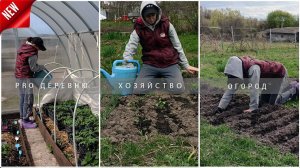 Будни в деревне:  Посадка огорода  Уход за рассадой  Куры #garden #рассада #деревня