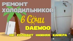 Ремонт холодильника Daewoo FR-4506N, не холодит нижняя камера.