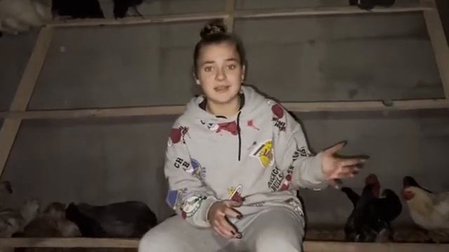 Новый птах. Цесарка 
цесарка в домашних условиях