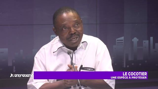 Entretien : Le cocotier - Une espèce à protéger смотреть онлайн