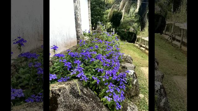 Деревенский дневник очень многодетной мамы - пришла беда которую не ждали | Сплетница смотреть онлайн