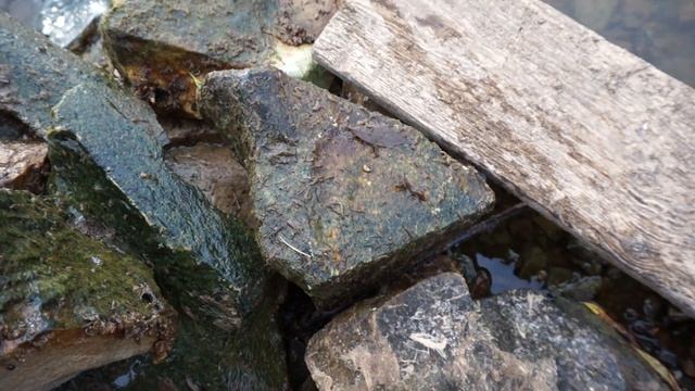 Советск Бобыльские луга смотреть онлайн