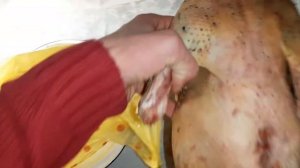 Начало забоя мускусних уток/вес тушки индоутки в 5 месяцев