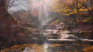 Autumn 4K • Scenic Relaxation Film with Peaceful Relaxing Music and Nature Video