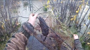 Охота на ондатру с мордами (Будни охотника и рыбака)