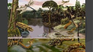 ИСТОРИЯ РАЗВИТИЯ ОРГАНИЧЕСКОГО МИРА