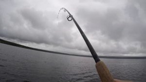 Top 5 Lures For Jigging Lake Trout with the Lowrance Active Target