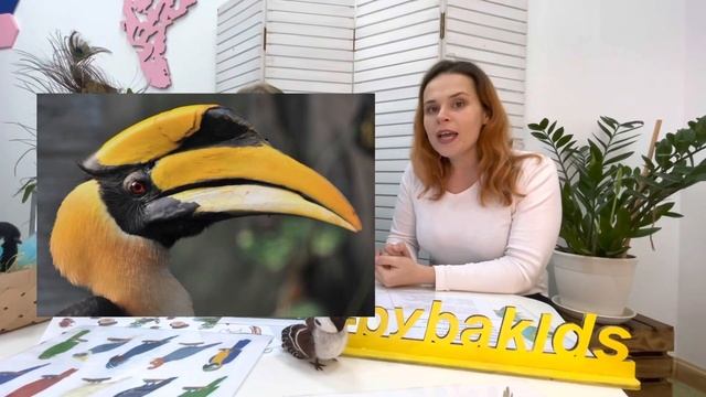 Заняття на тему: «Екзотичні птахи». смотреть онлайн