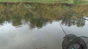 Рыбалка на реке золотой осенью поплавок болонка проводка плотва карась