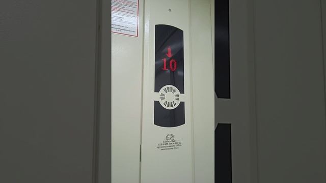 ALSA 2022 г. 1000 кг. 8 чел. г.Кемерово пр.Комсомольский 11А ЖК "Изумрудная долина" смотреть онлайн