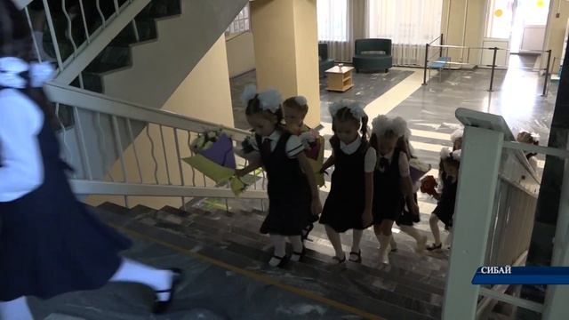 В каком режиме будет вестись обучение в новом учебном году? смотреть онлайн