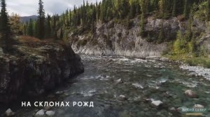 Уральские горы | Добро пожаловать на Урал! #5