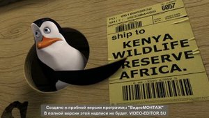 Мадагаскар  Филл читать умеет