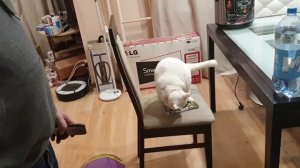 В ГЛОБУС за ПРОДУКТАМИ ? | Называется МУЖ СЕЛ на ДИЕТУ | Закупка на 4000 рублей /Что КУПИЛИ и ПОЧЕМ