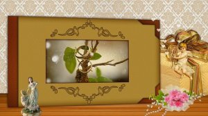 ФУТАЖ В СТИЛЕ РЕТРО   СВАДЕБНЫЙ АЛЬБОМ