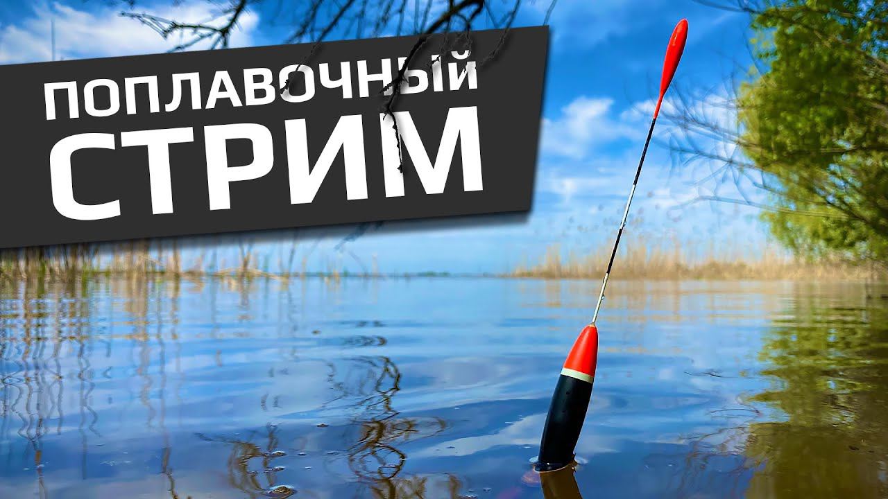 РУССКАЯ РЫБАЛКА 4 - Поплавочный стрим / Ахтуба / Ладога смотреть онлайн