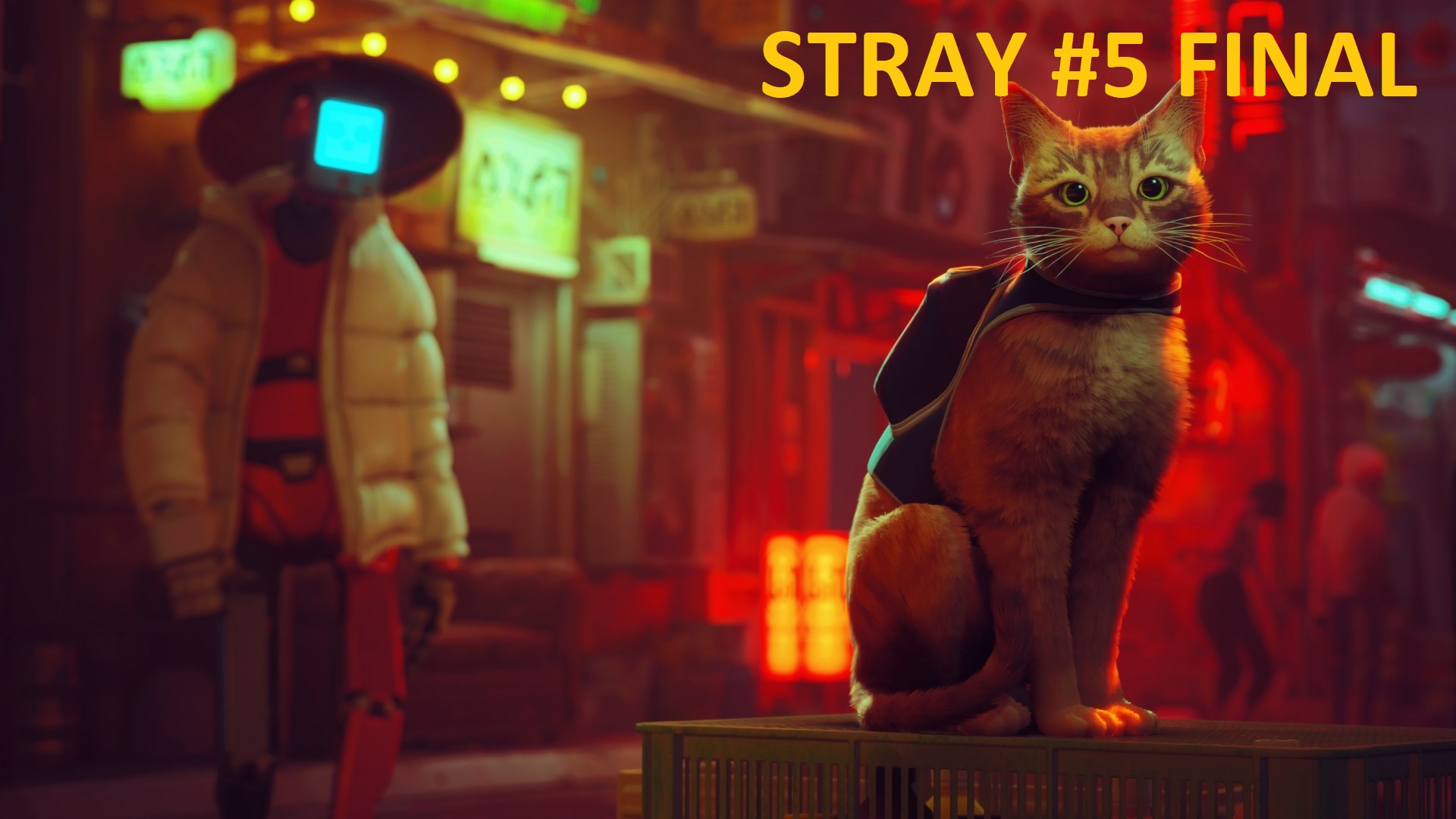 STRAY #5 FINAL