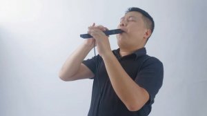 Electronic Wind Instrument easy to carry