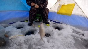 Рыбалка на Истре.Ловля подлещика . Лещь на 1500кг