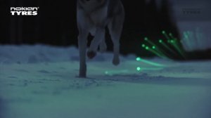 Зимние шипованные шины Nokian Tyres Hakkapelitta 9