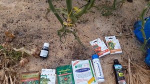 подготовка теплицы к следующему сезону.