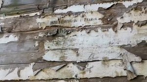 Тверская область, Бежецкий район, Дрюцково. Церковь Рождества Пресвятой Богородицы