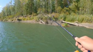 СПИННИНГ В СЕНТЯБРЕ! Ветер ПОМОГ РАЗГАДАТЬ ЩУЧИЙ СЕКРЕТ! Рыбалка на щуку осенью