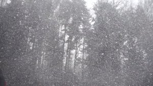 " По снегу летящему с неба" (А.Розенбаум) кавер.