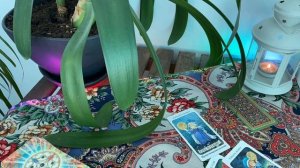 ? ПЕРСПЕКТИВА НАЙТИ РАБОТУ | РАСКЛАД ТАРО