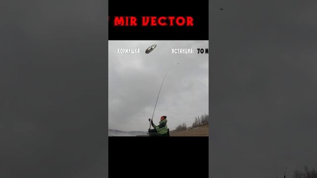 МИР Вектор фидер  забросы
