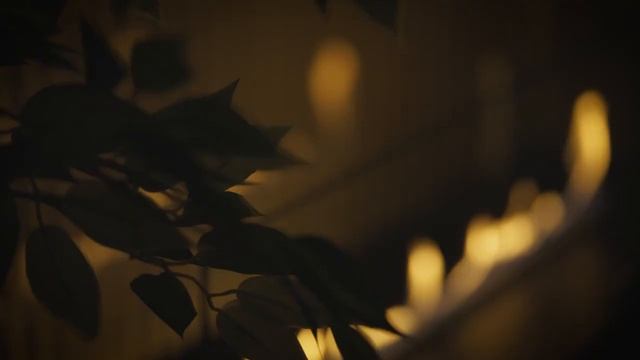 Камин встраиваемый в мебель - биокамин Planika Primefire 990+ смотреть онлайн