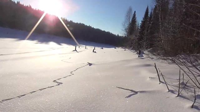 Поход в зимнюю тайгу с ночевкой! Открыл армейский сухпаек! смотреть онлайн