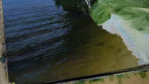 Живопись маслом: передаю прозрачность воды | Oil painting: transmit transparency water