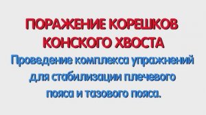 С. Комплекс упражнений для стабилизации плечевого пояса и тазового пояса.