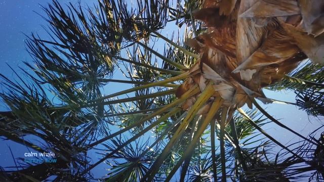 TANTRIC FLOW - Shaman Drum & RAV Relaxing Journey [2 hours] смотреть онлайн