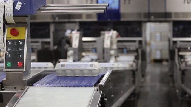 Окское яйцо. Производство смотреть онлайн