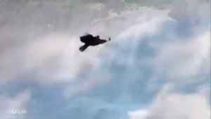 Ой... не говори. Олег Гаврилюк и Наталья Бучинская.