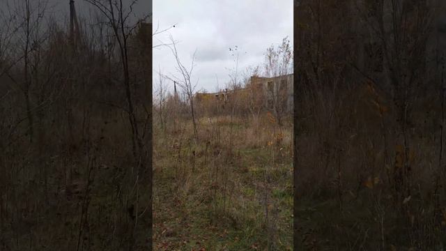 13 ноября 2022 г. Белый дом